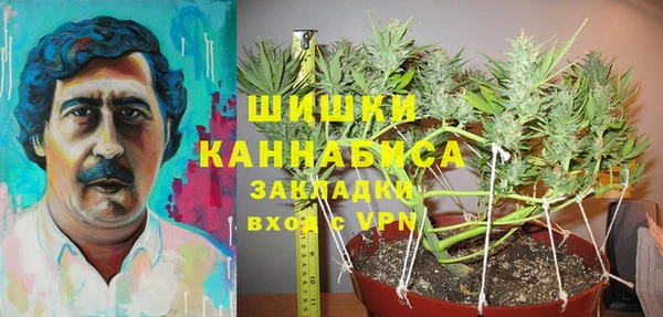 шишки Пестово