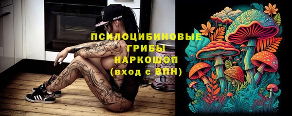 метамфетамин Покачи