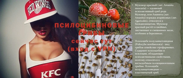 прущие крисы Абинск
