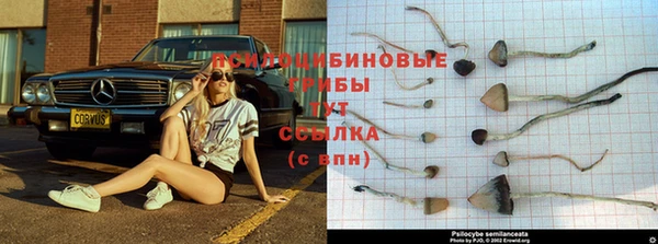 прущая мука Абдулино